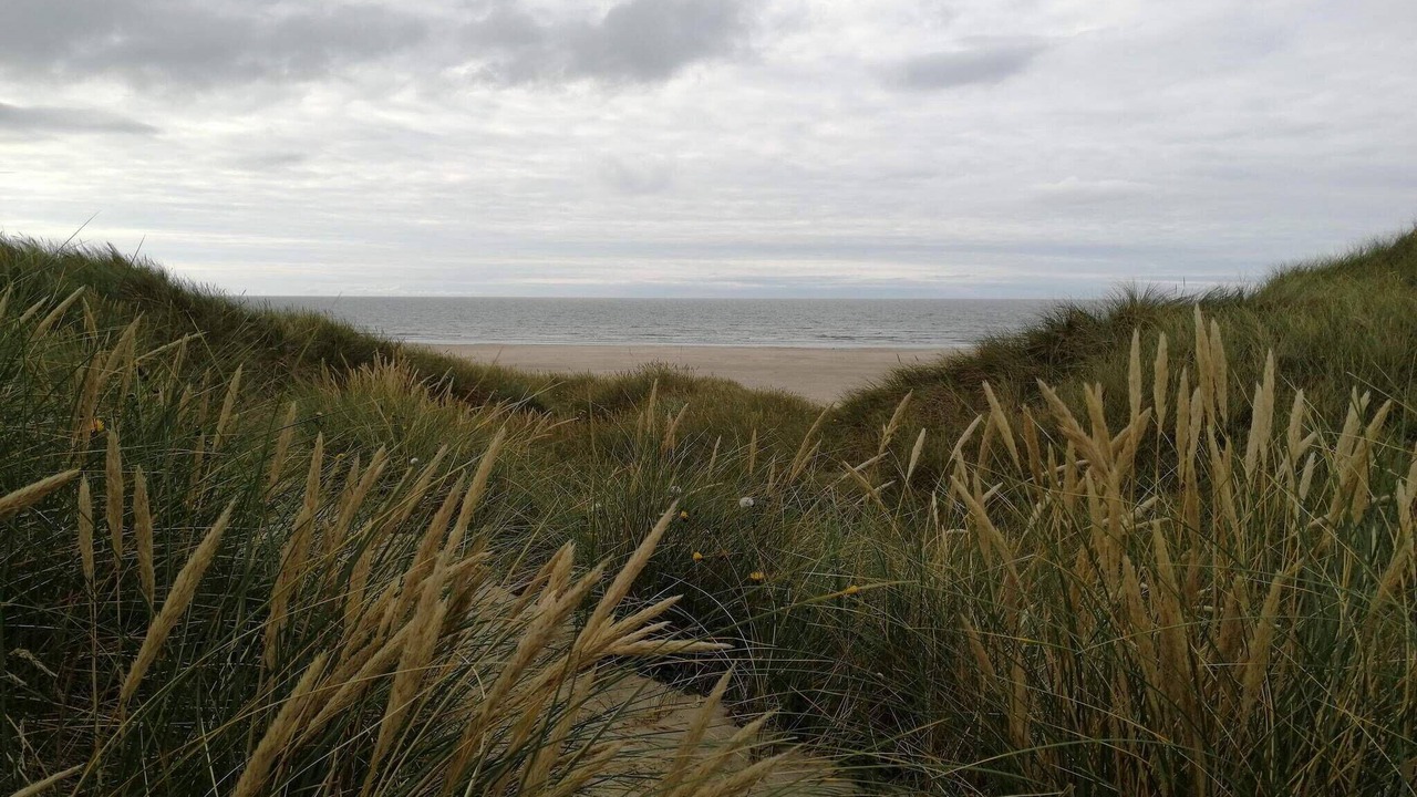 Photo of Others in Rødhus