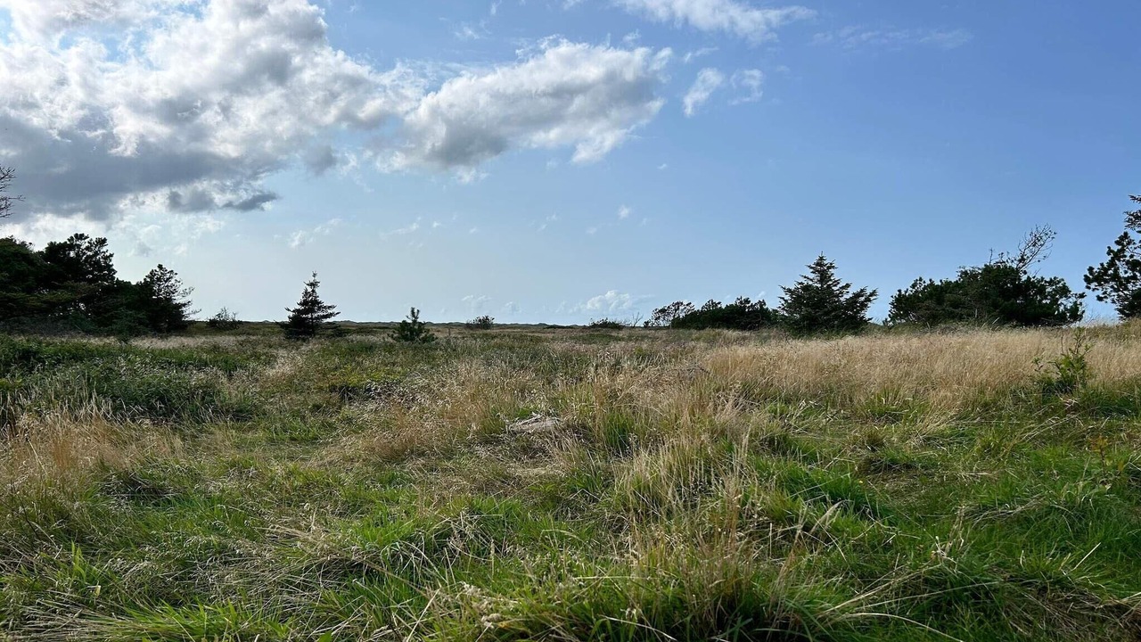 Photo of Others in Rødhus