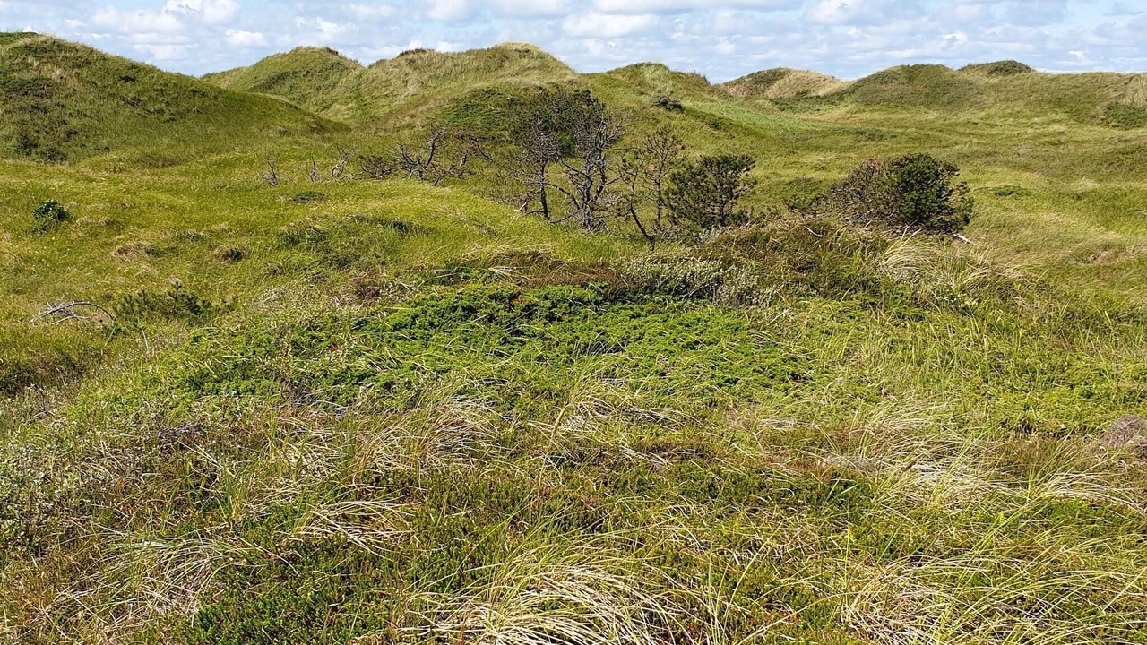 Photo of Others in Rødhus