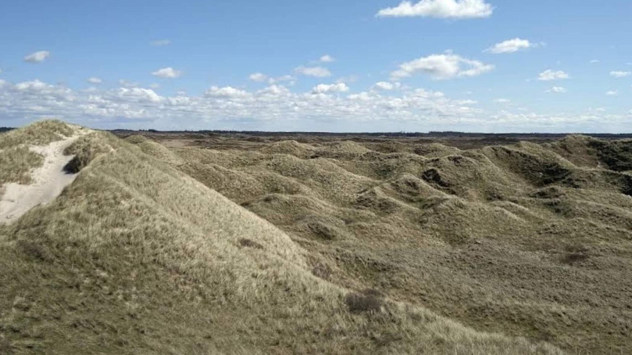 Photo of Others in Blokhus