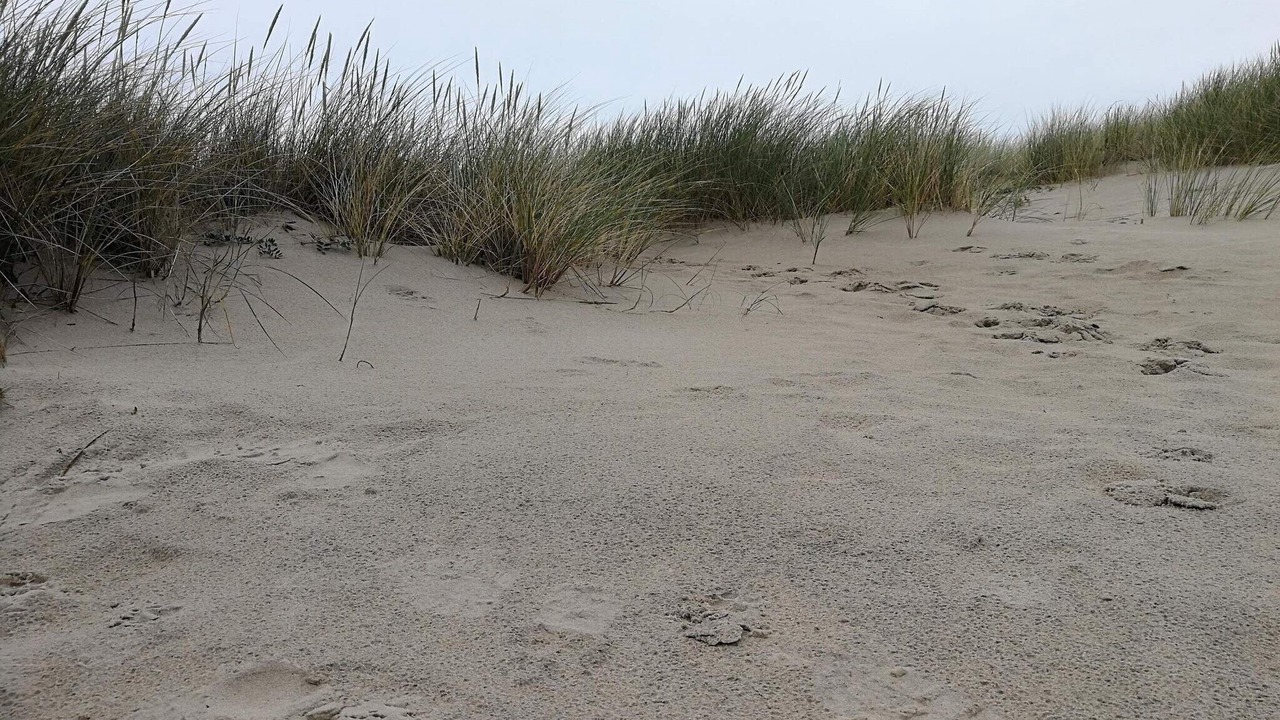 Photo of Others in Slette Strand