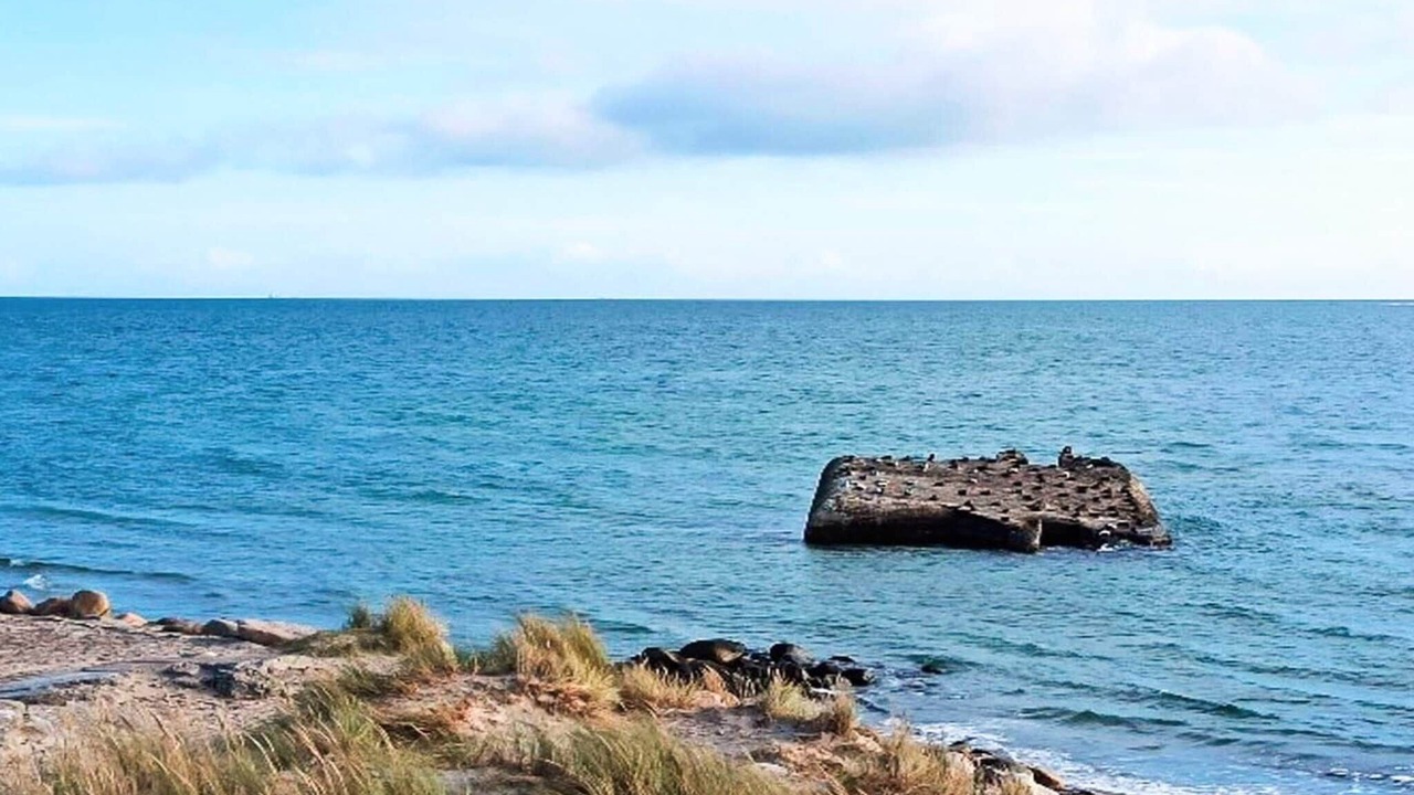 Photo of Others in Skagen
