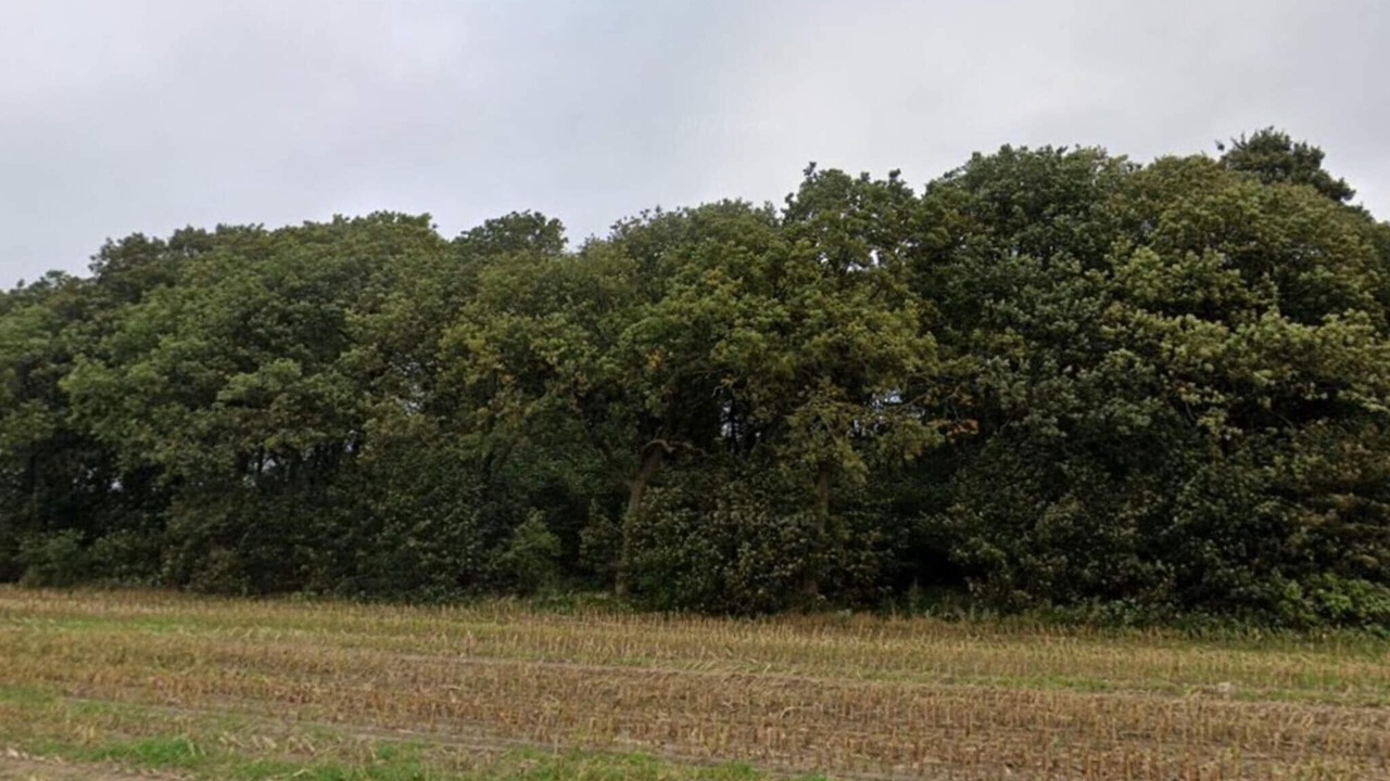 Photo of Others in Hovborg