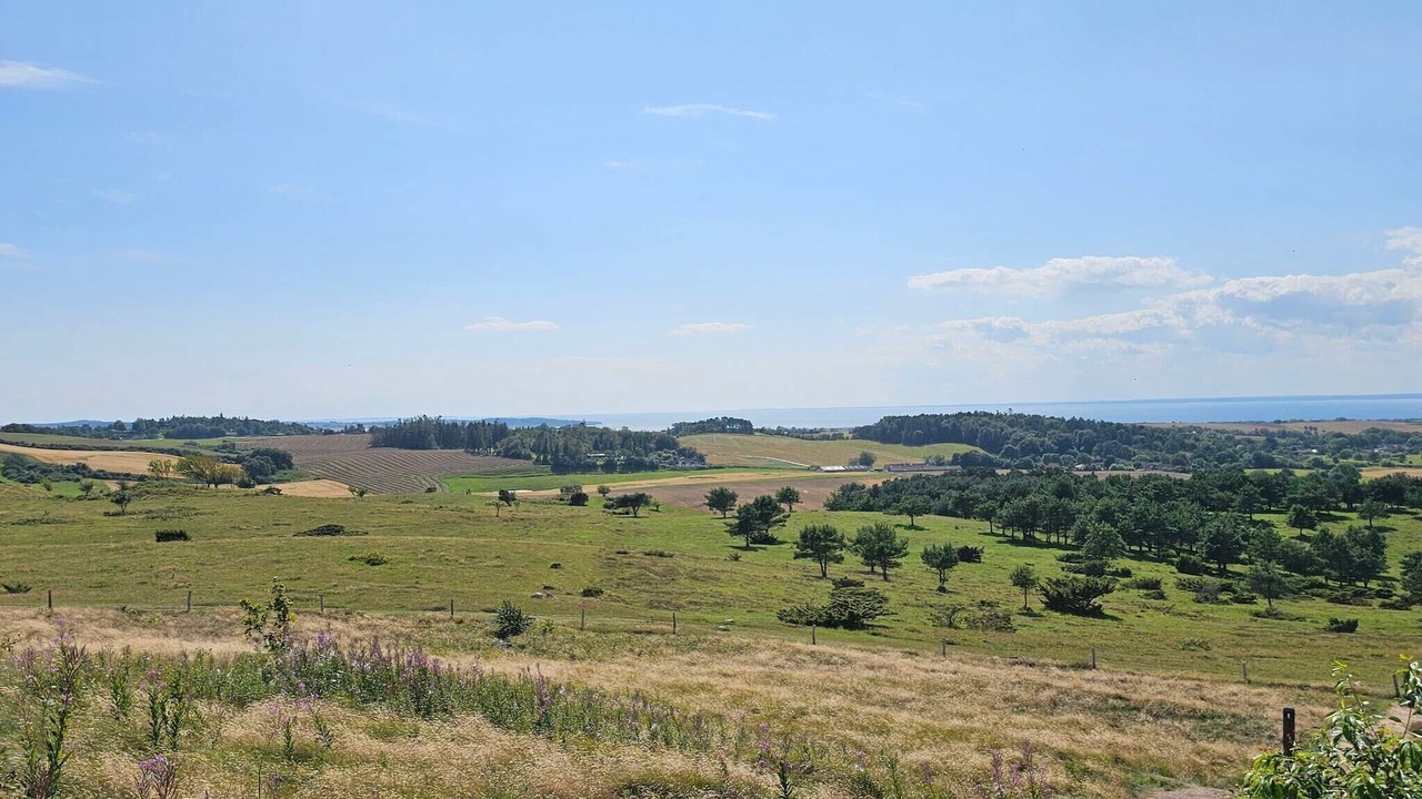 Photo of Others in Knebel