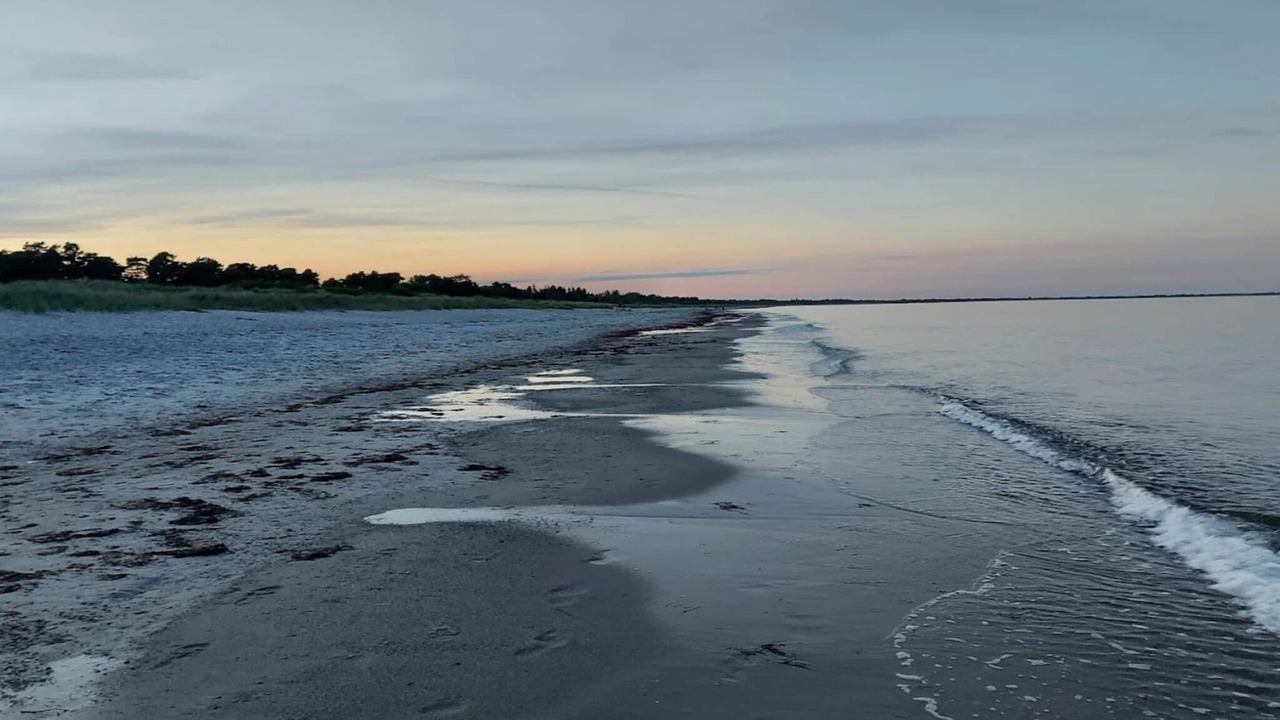 Photo of Others in Bøtø By
