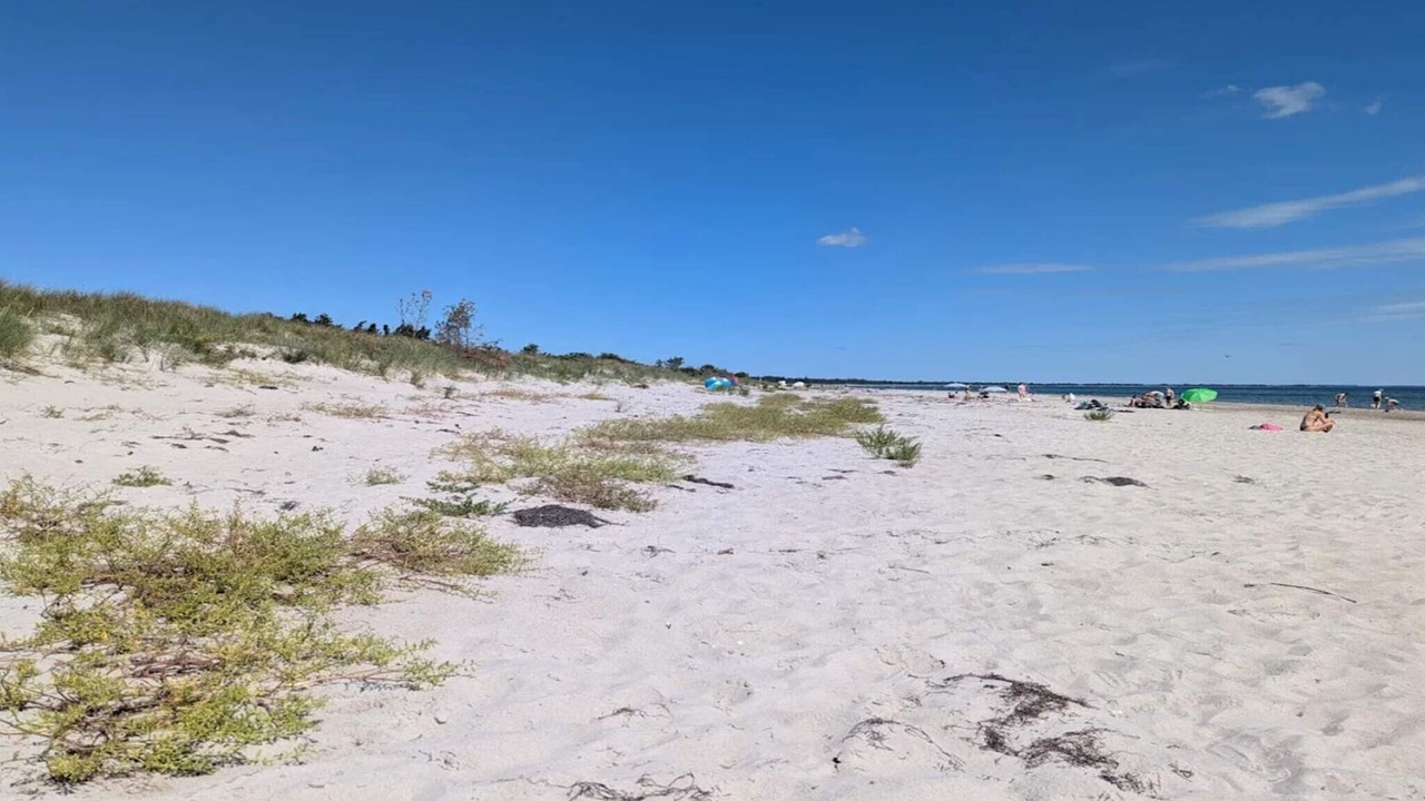 Photo of Others in Bøtø By