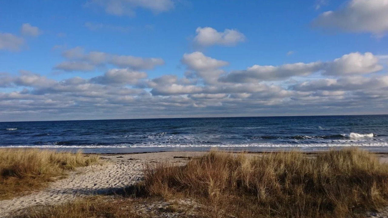 Photo of Others in Bøtø By