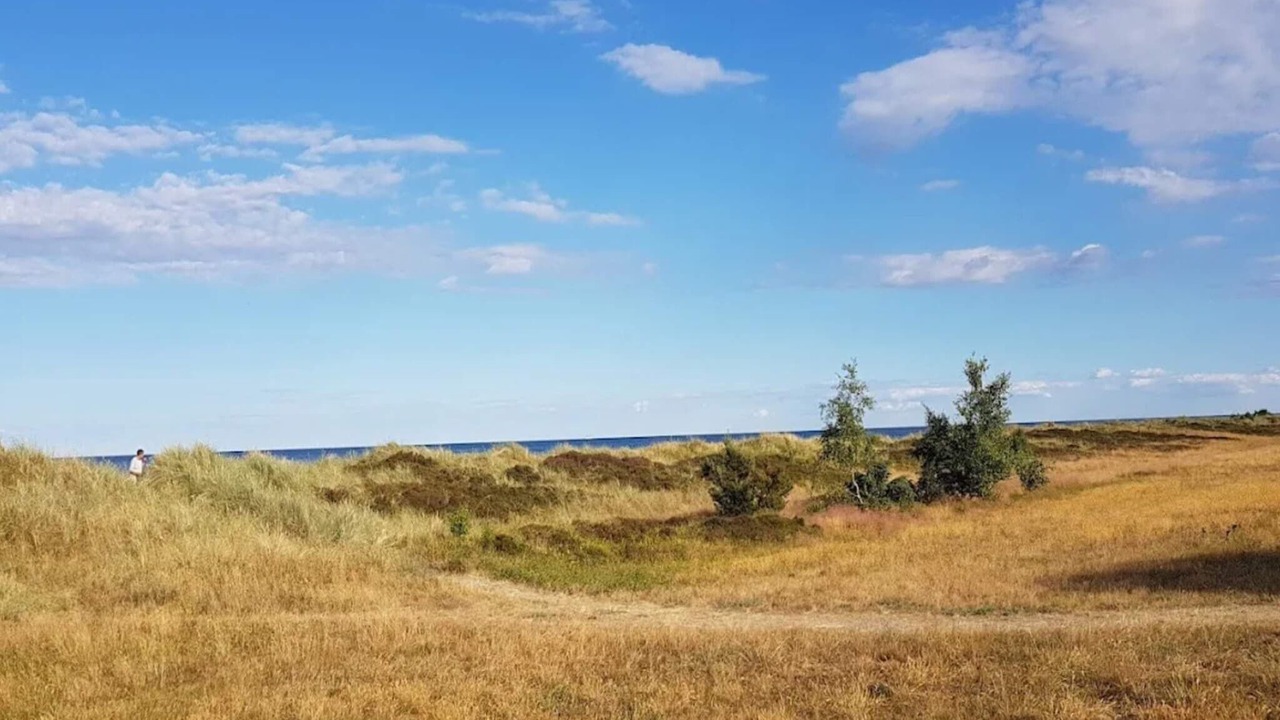 Photo of Others in Bøtø By