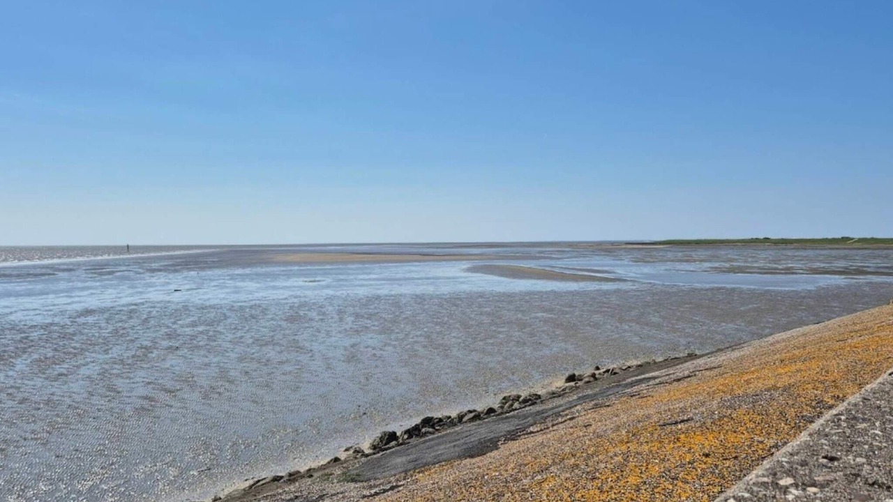 Photo of Others in Sønderstrand