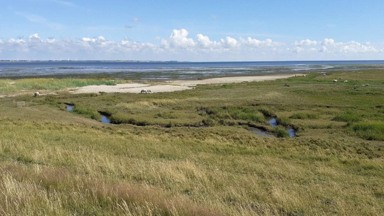 Photo of Others in Sønderstrand