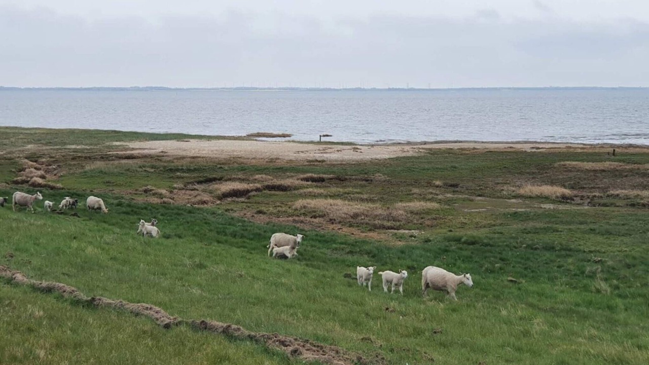 Photo of Others in Sønderstrand