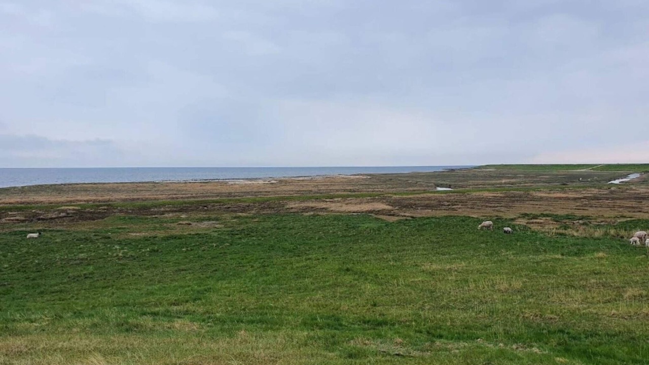 Photo of Others in Sønderstrand