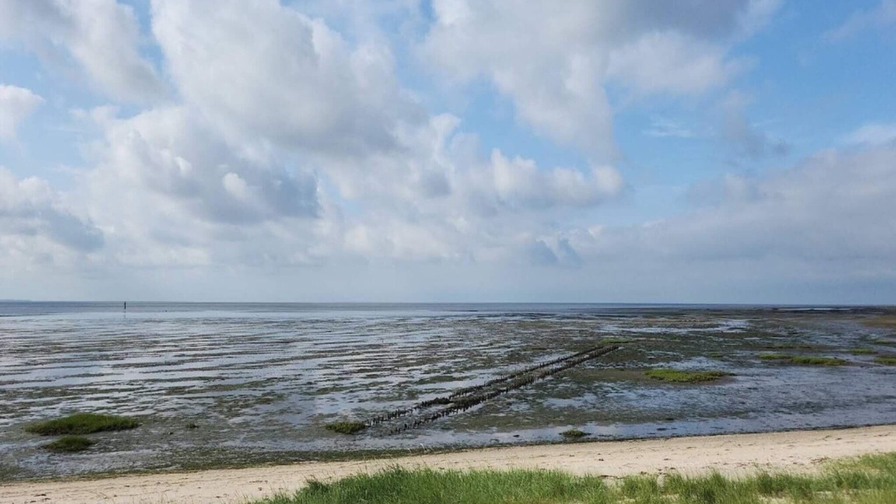 Photo of Others in Sønderstrand