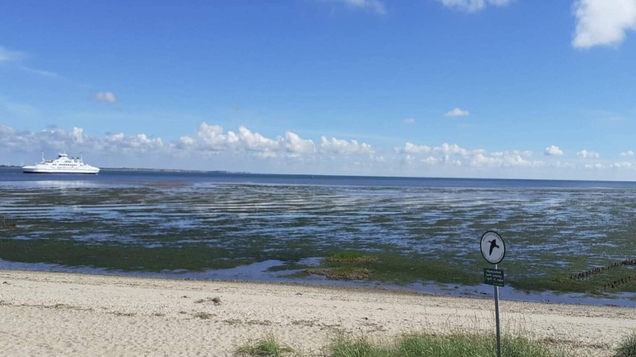 Photo of Others in Sønderstrand