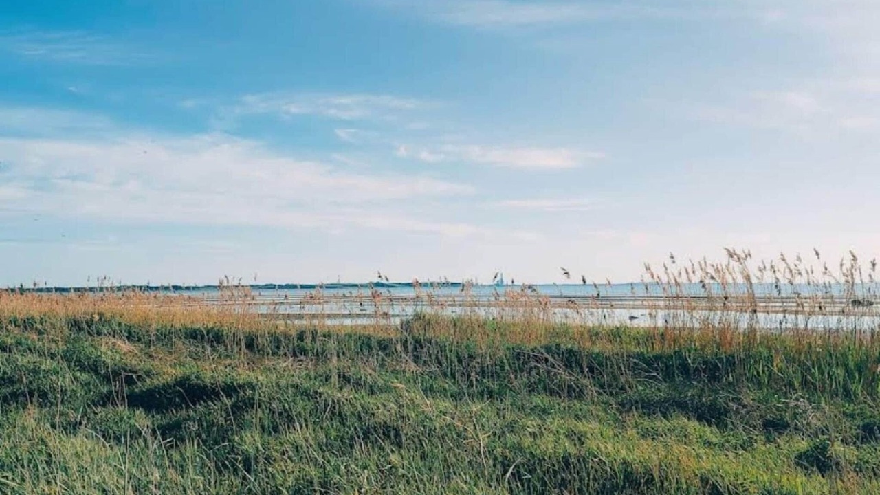 Photo of Others in Jægerspris