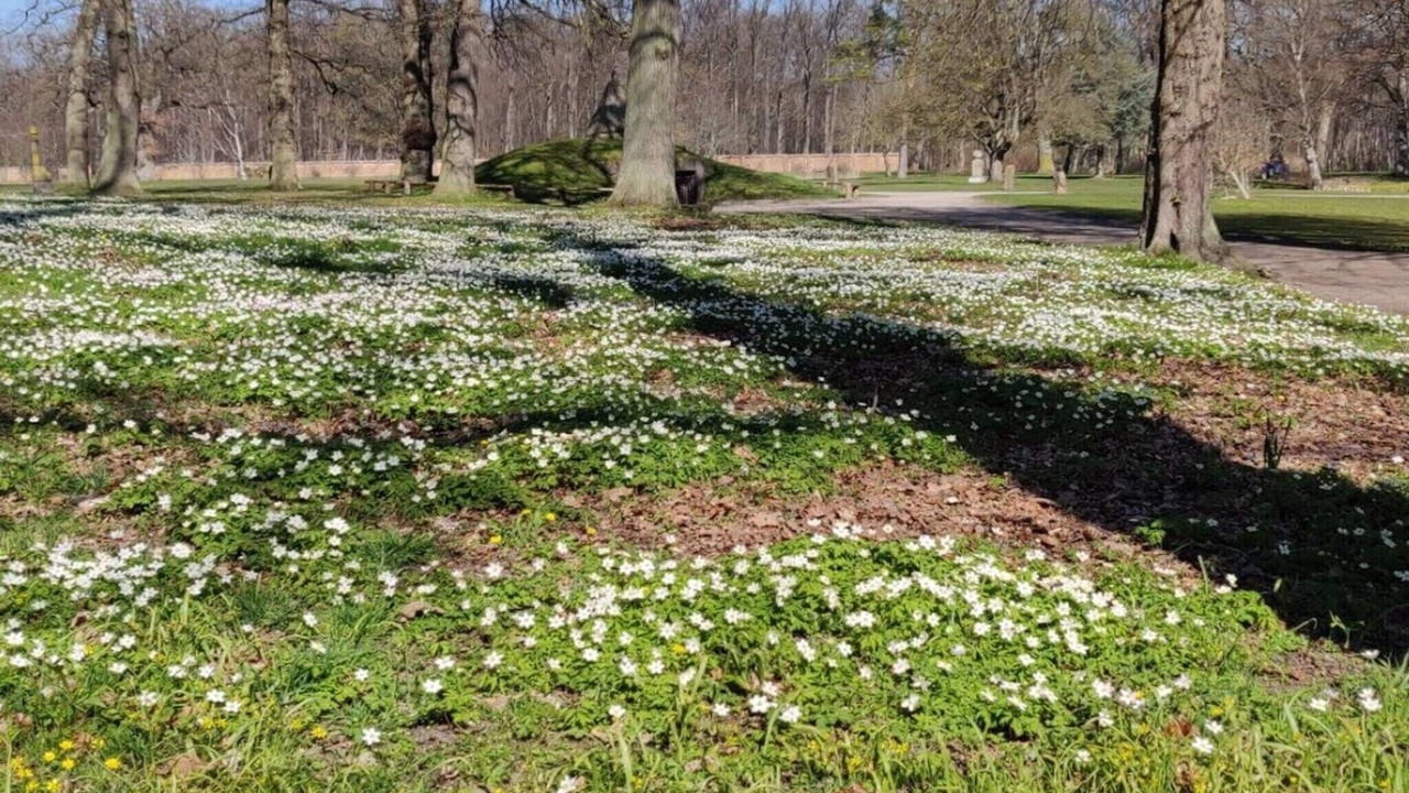 Photo of Outdoor in Jægerspris