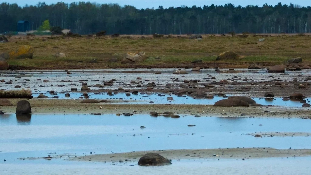 Photo of Others in Læsø