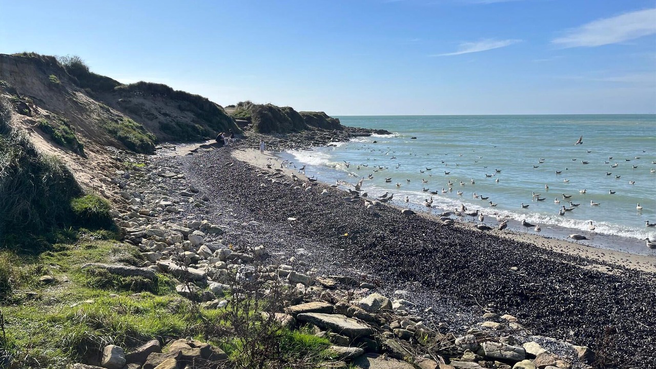 Photo of Others in Wimereux
