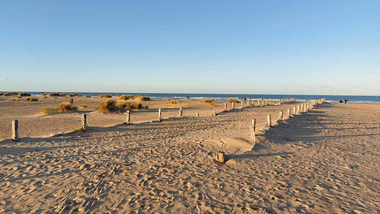 Photo of Others in Wimereux