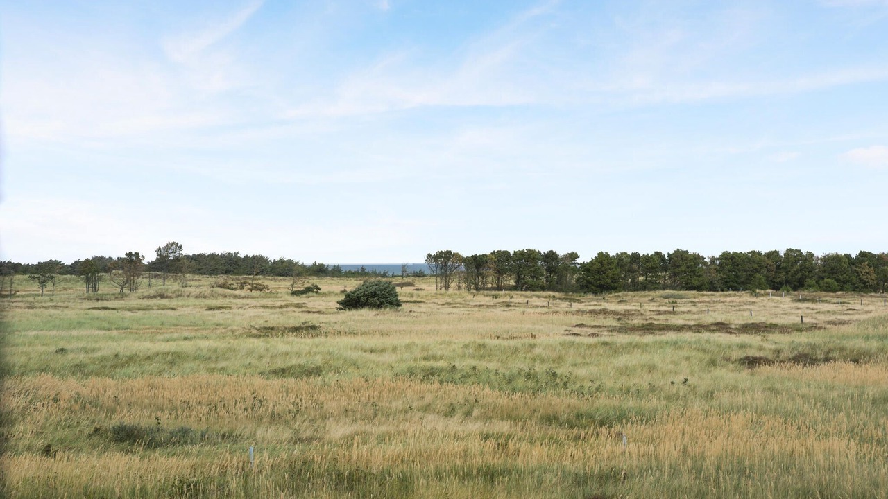 Photo of Bedroom in Skagen