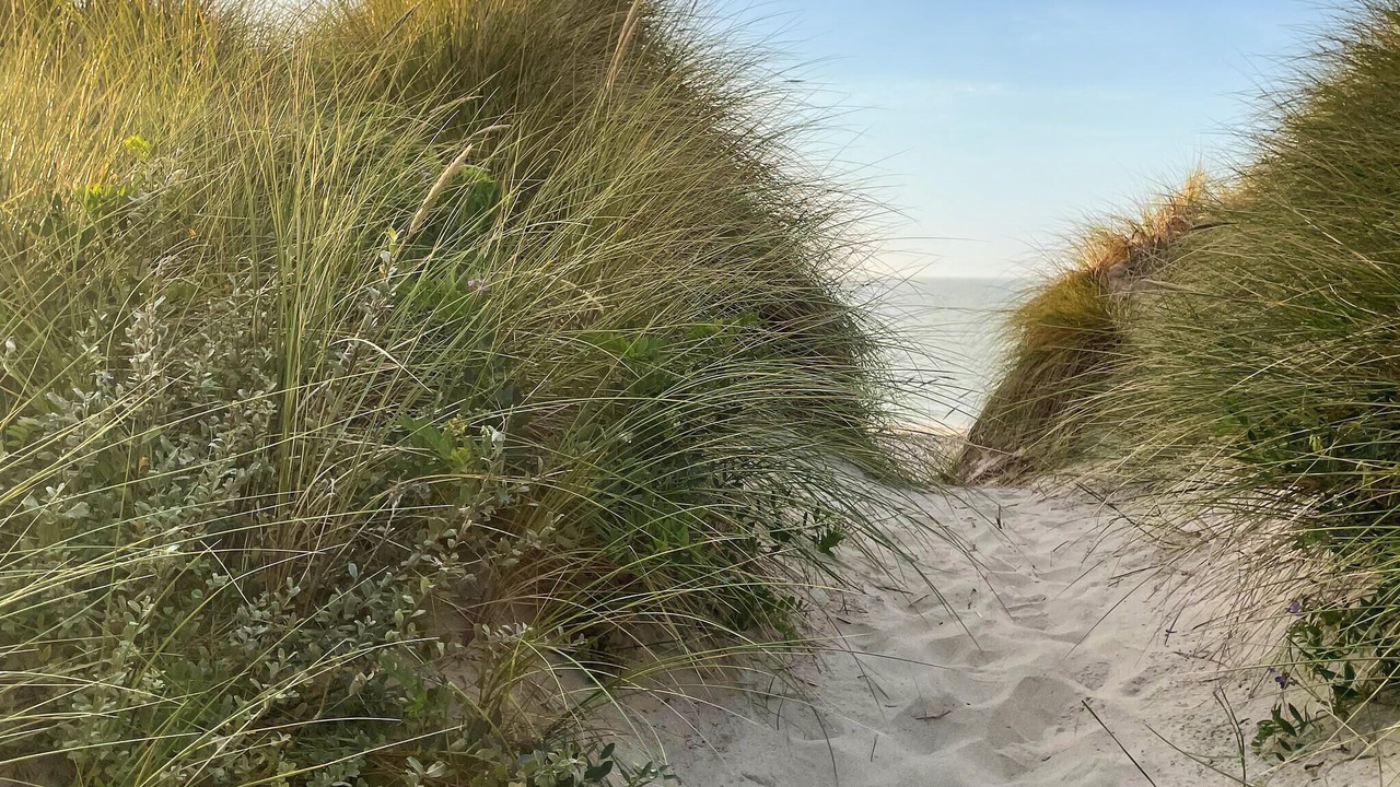 Photo of Others in Skagen