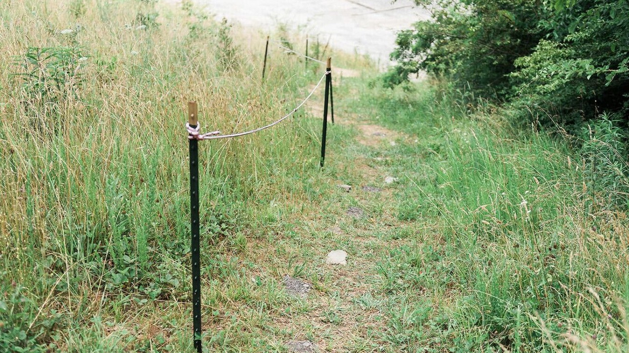 Photo of Others in Knoxville