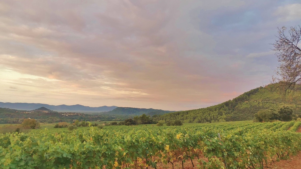Photo of Others in Les Arcs-sur-Argens