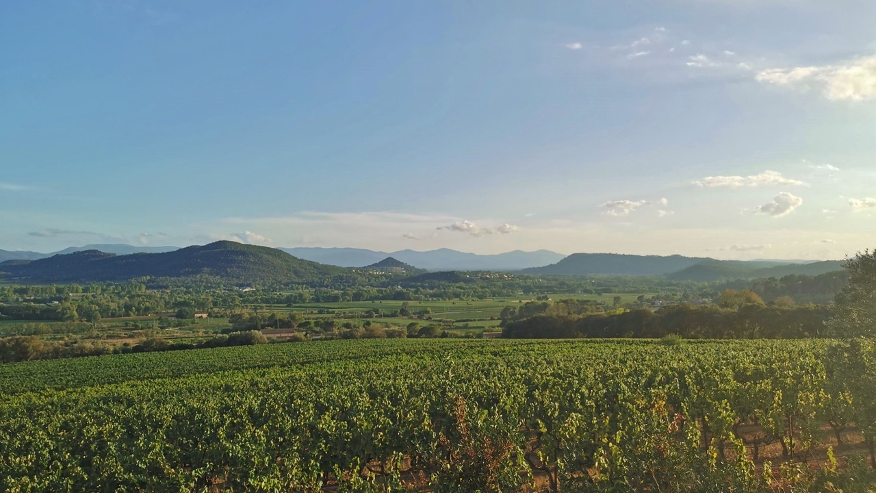Photo of Outdoor in Les Arcs-sur-Argens