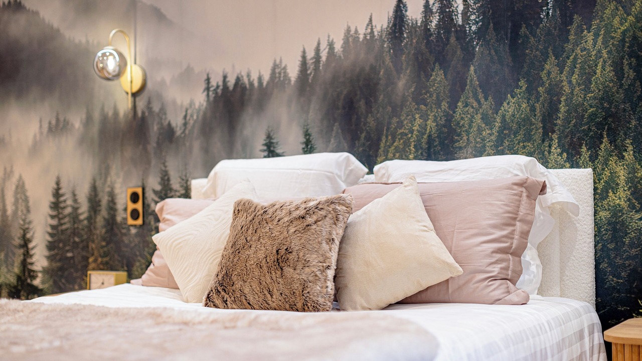 Photo of Bedroom in Chambery