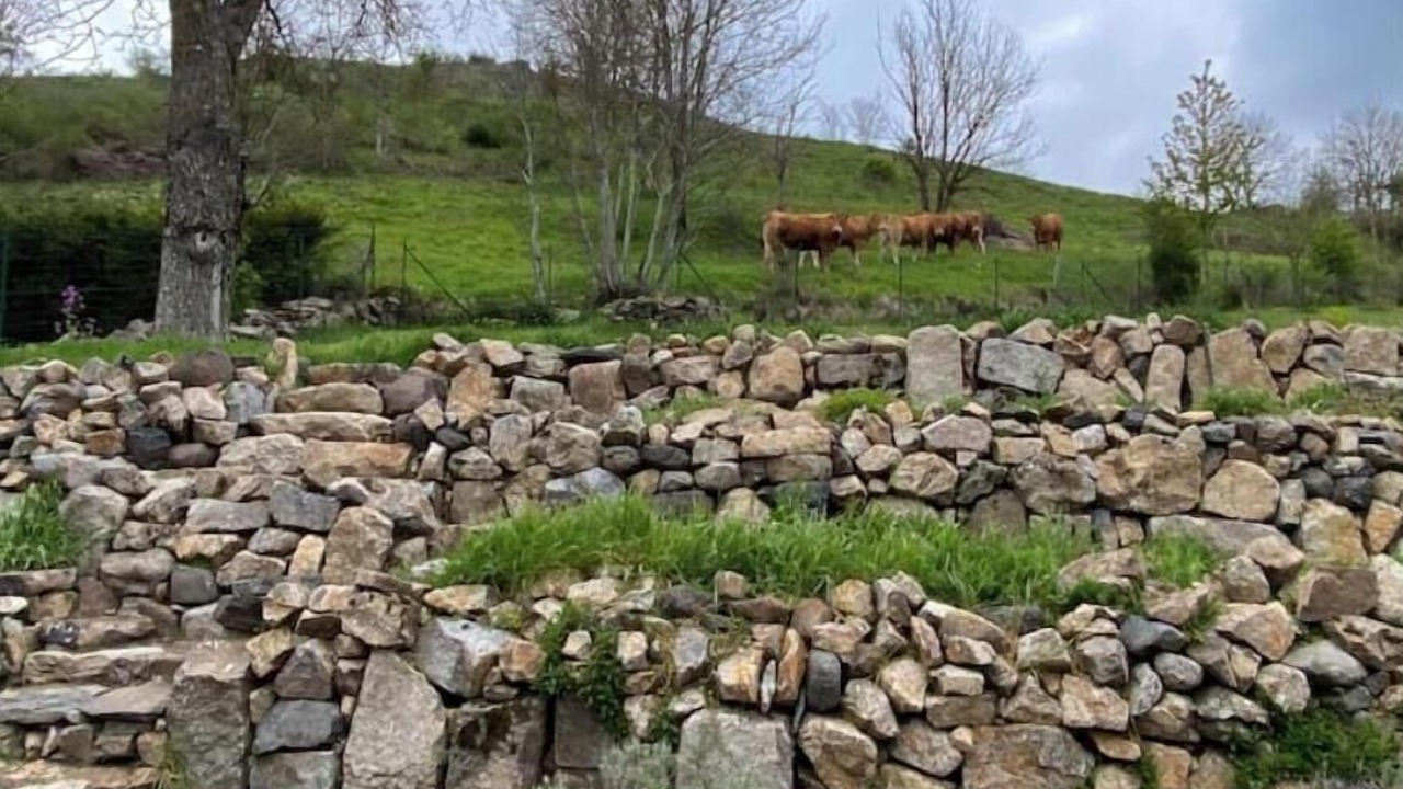 Photo of Outdoor in Le Monastier-sur-Gazeille