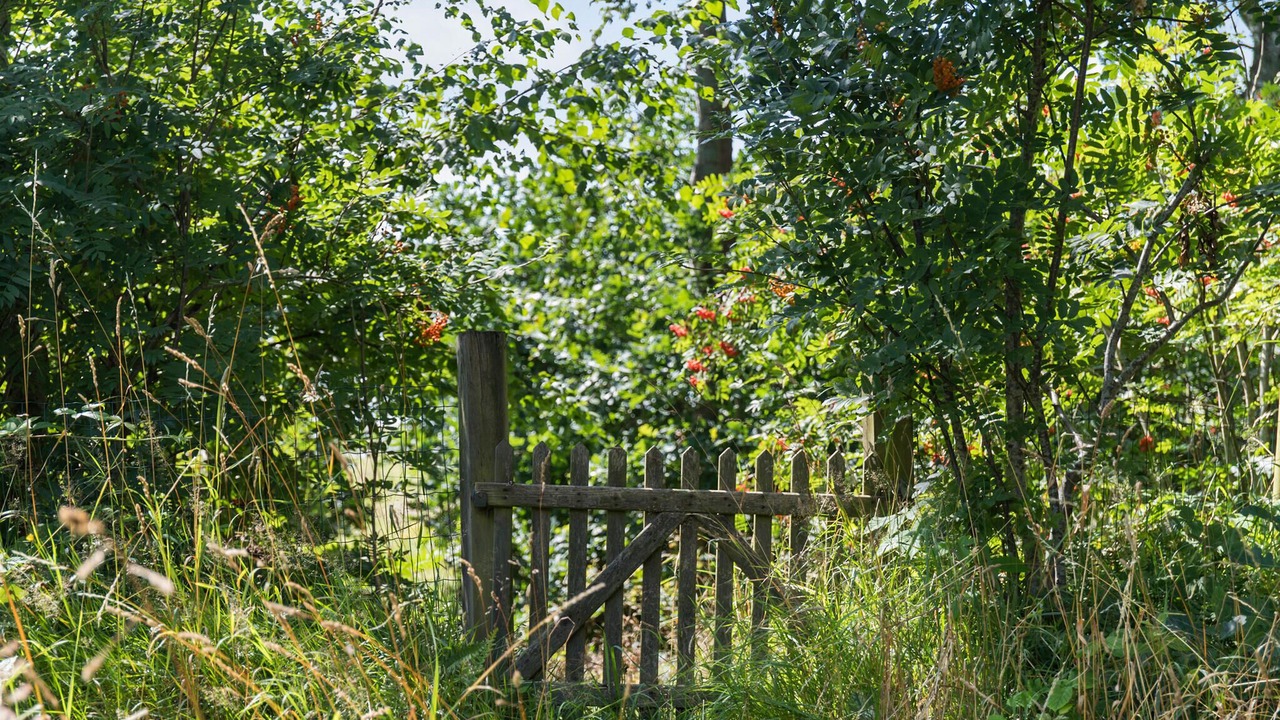 Photo of Others in Melby