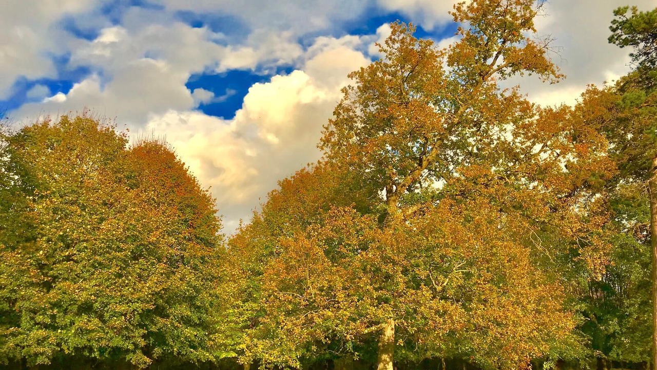 Photo of Outdoor in Pressigny-les Pins