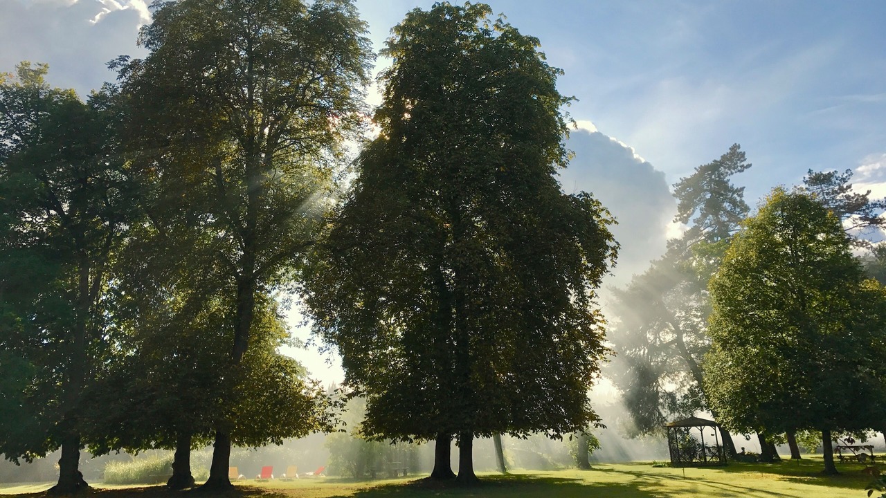 Photo of Others in Pressigny-les Pins
