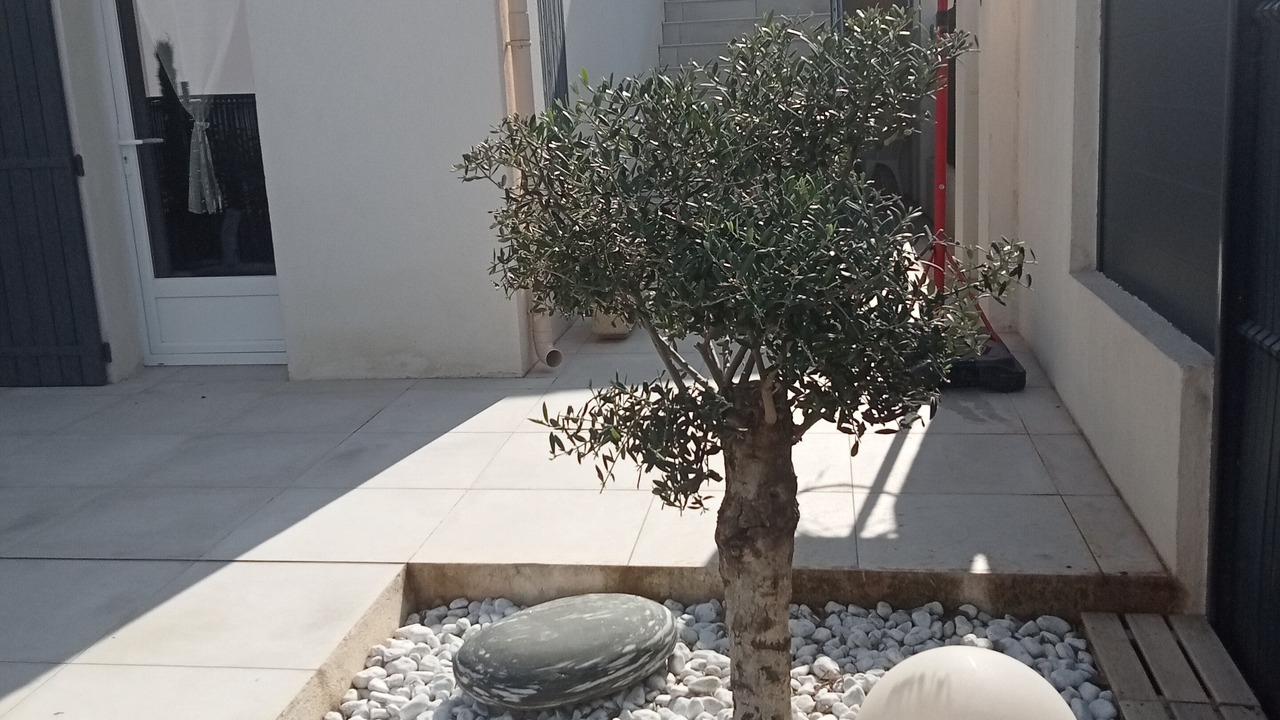 Photo of Outdoor in Fontvieille