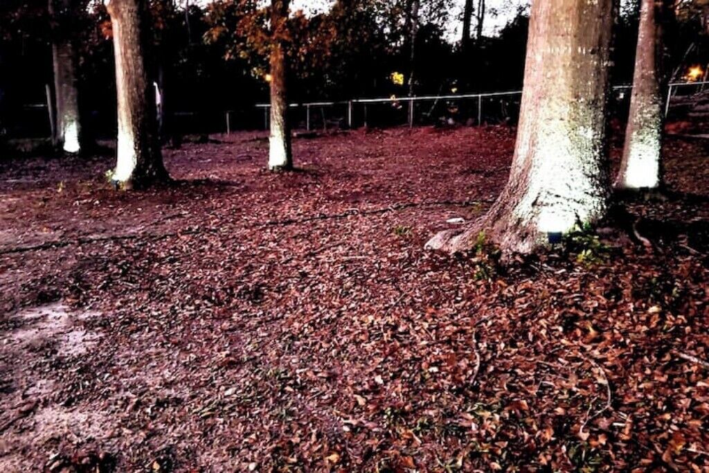 Photo of Outdoor in Dothan