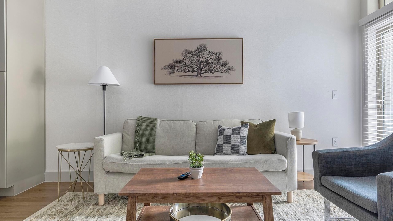 Photo of Livingroom in Montopolis