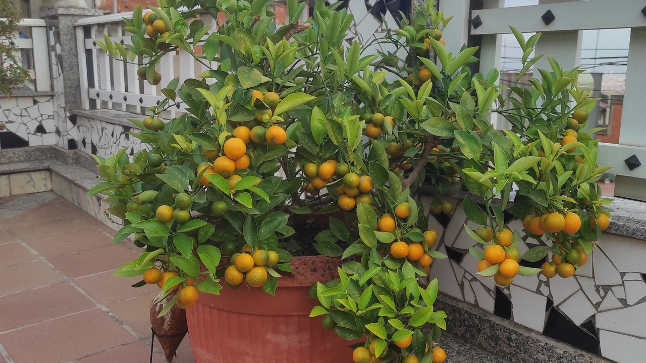 Photo of Outdoor in Les Roquetes