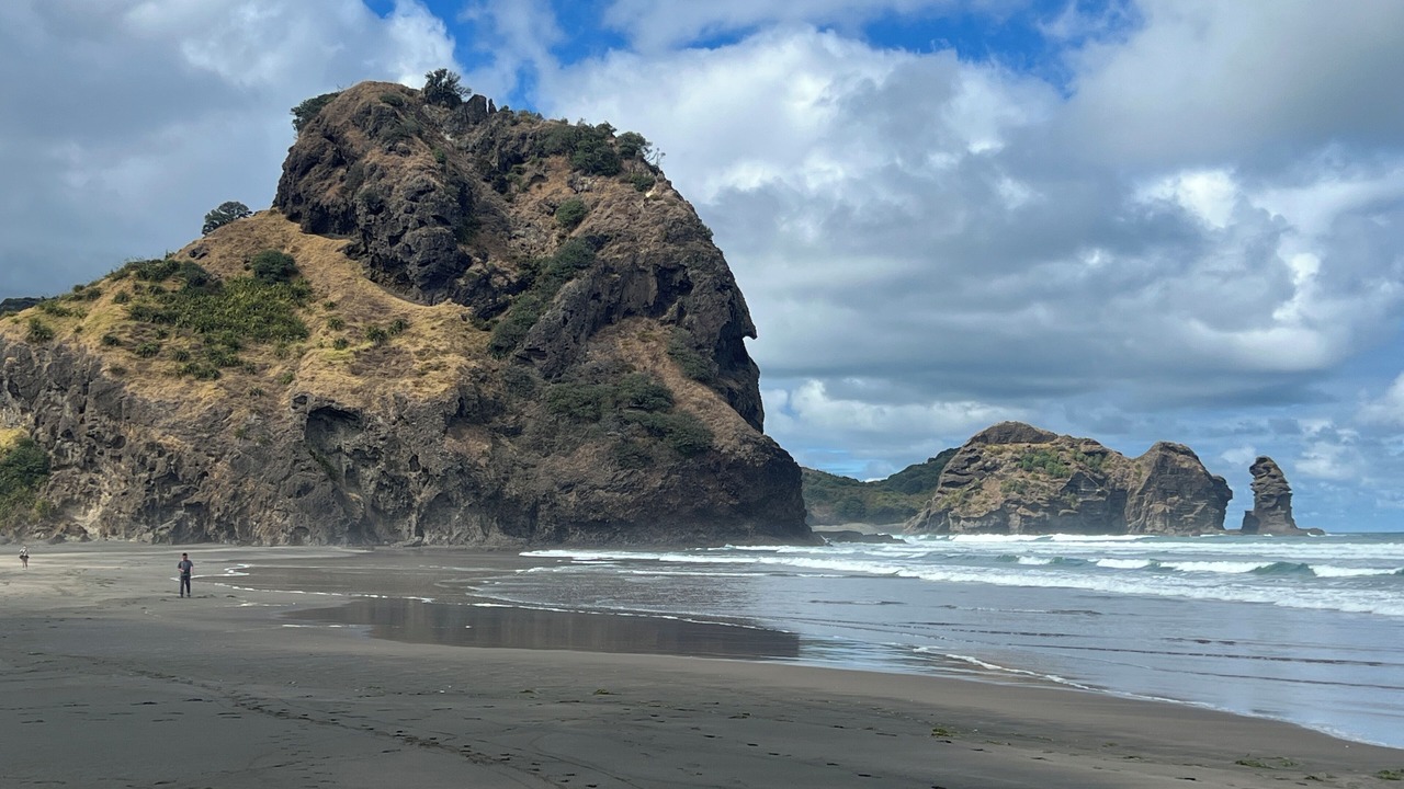 Photo of Others in New Lynn