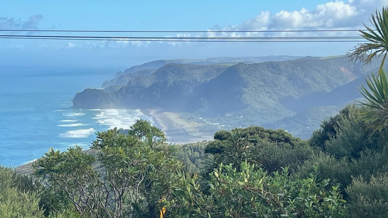 Photo of Others in New Lynn