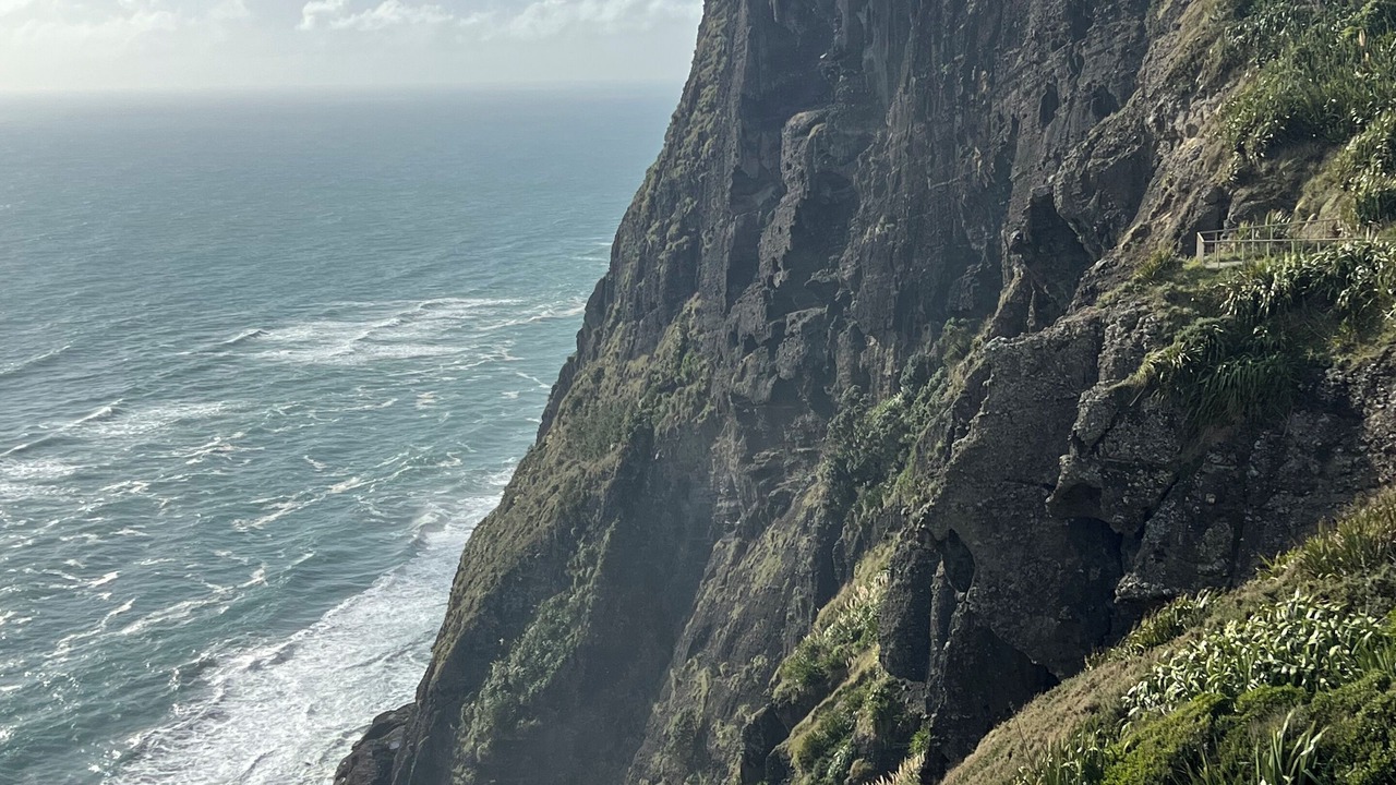 Photo of Others in New Lynn