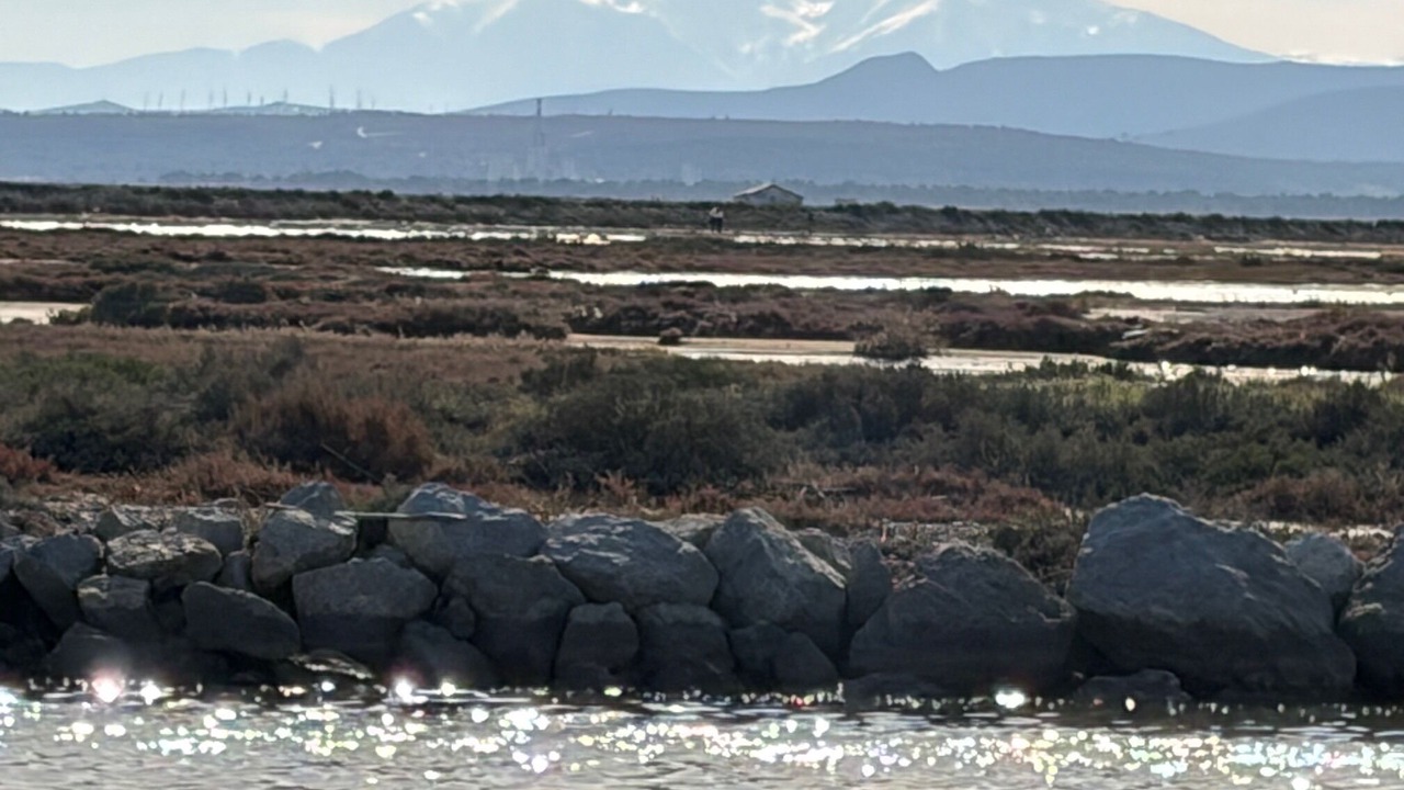 Photo of Others in Gruissan Plage