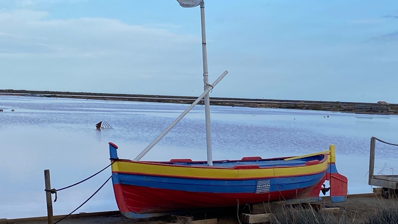Photo of Others in Gruissan Plage