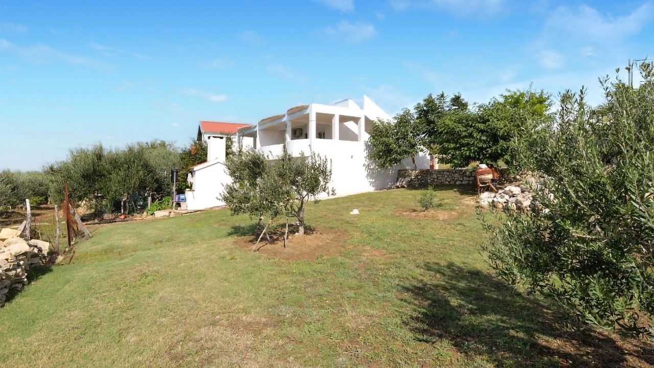 Photo of Others in Rtina