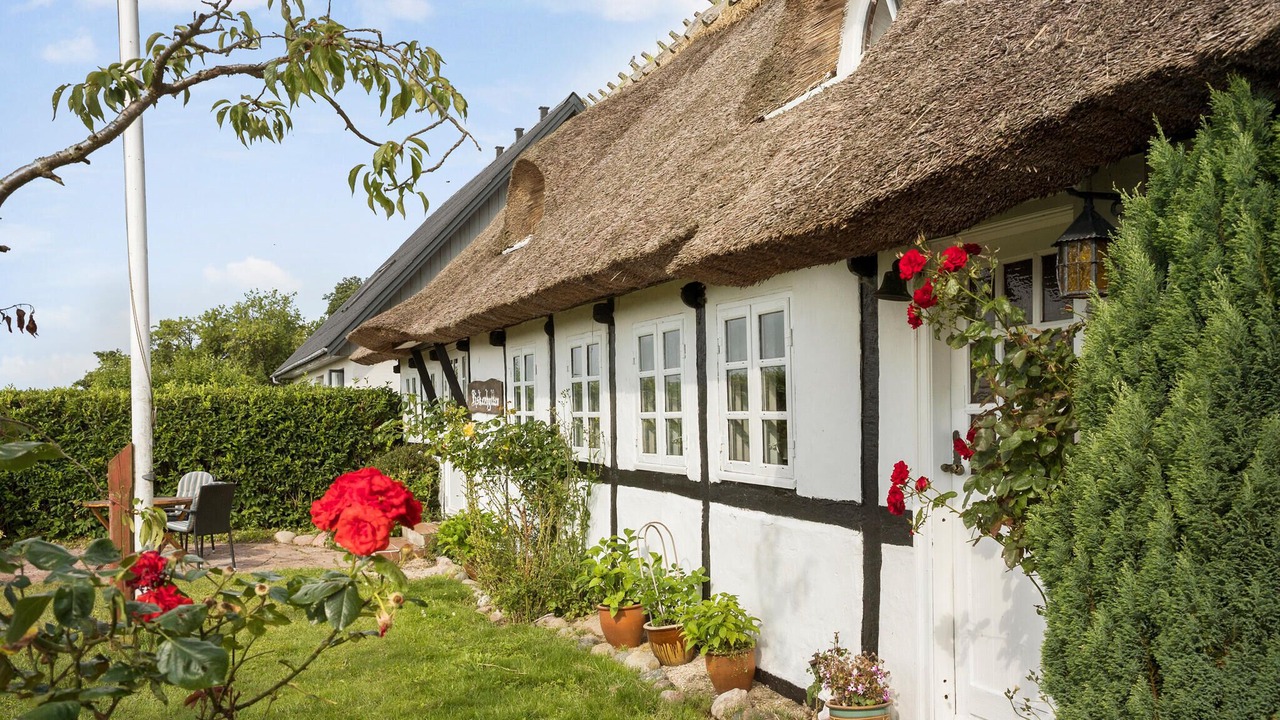 Photo of Others in Faxe