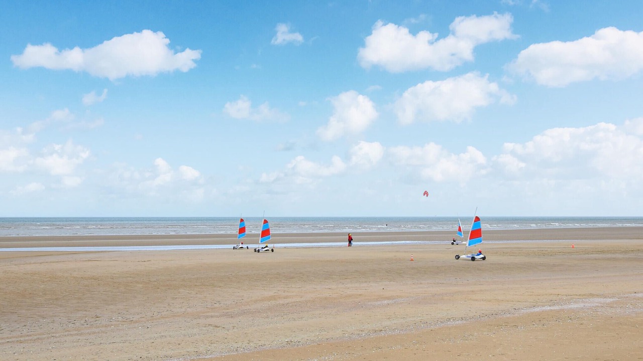 Photo of Others in Creances