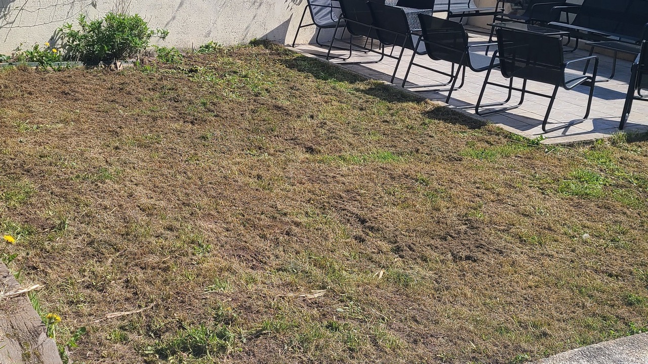 Photo of Outdoor in Europe