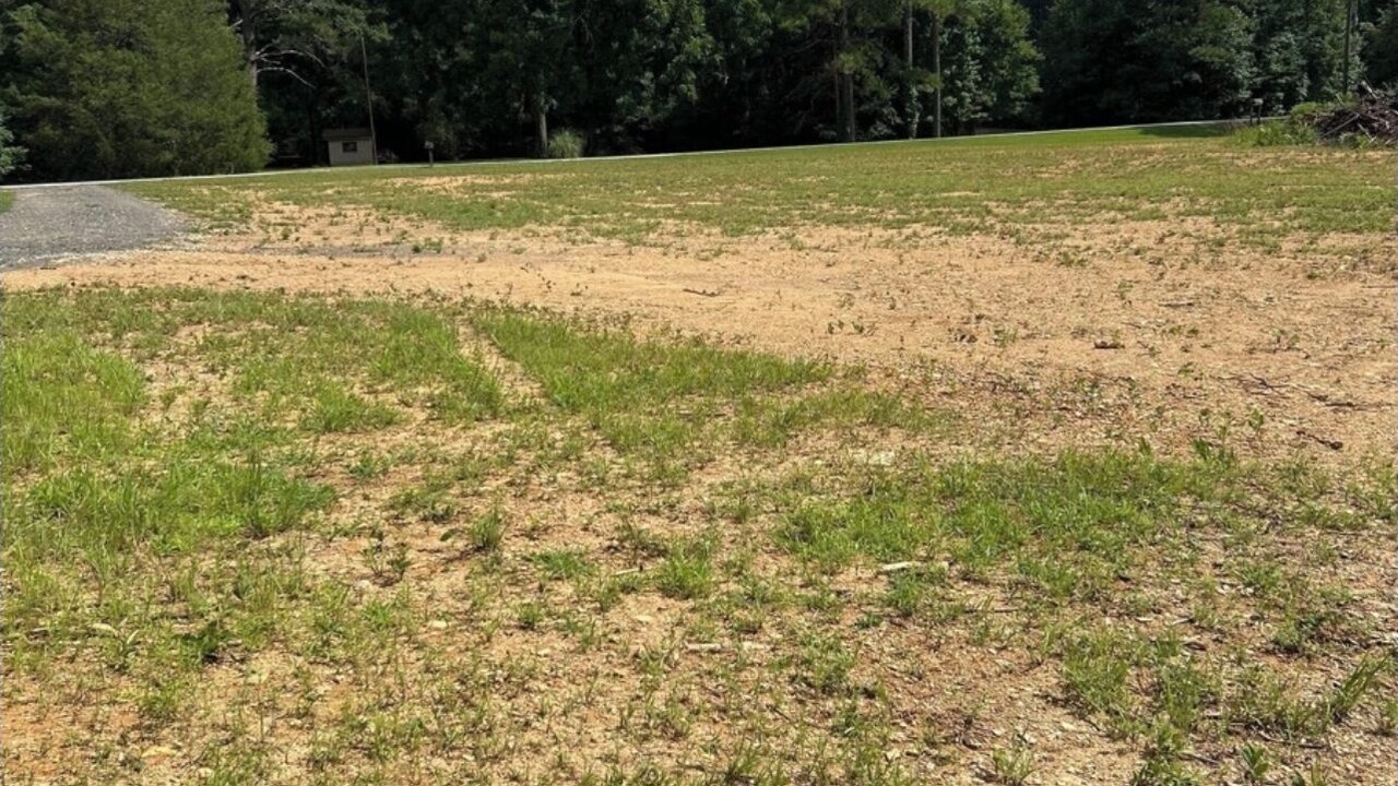 Photo of Outdoor in Muscadine