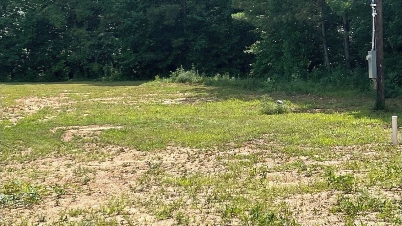 Photo of Outdoor in Muscadine