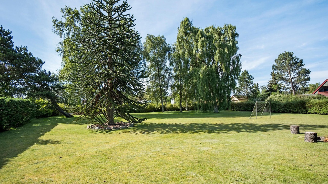 Photo of Others in Vejlby Fed