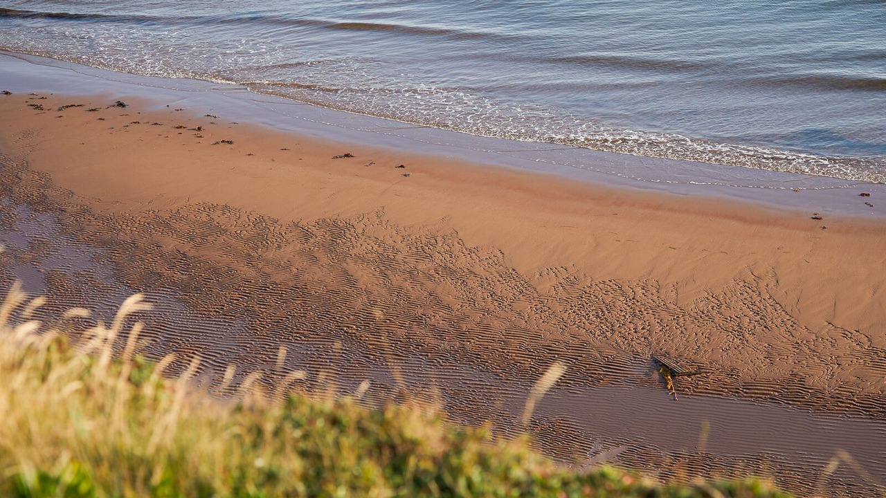 Photo of Others in Sea View